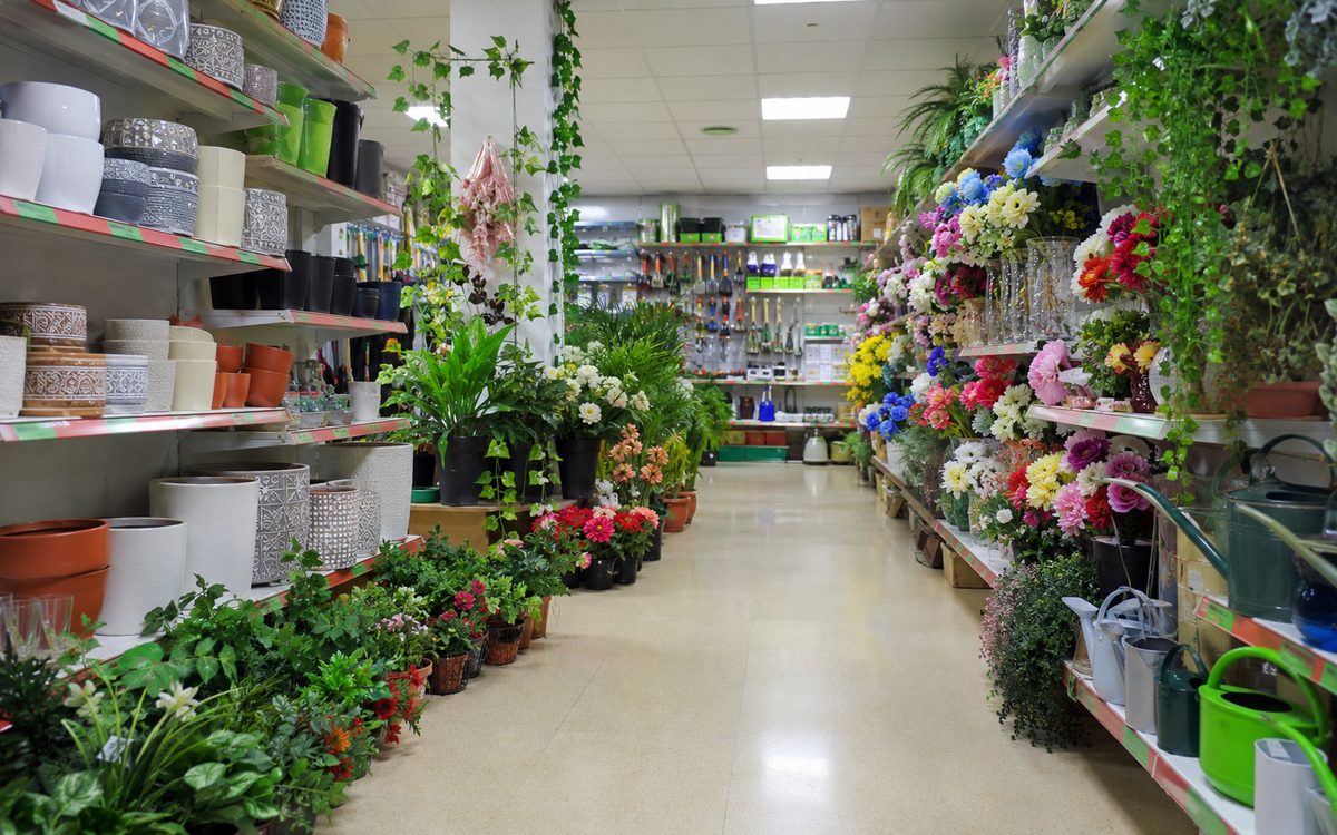 Interior de bazar chino en Salt